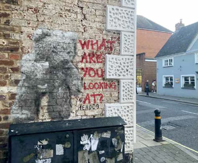 Street artist Hendog creates teddy bear on wall in Petersfield