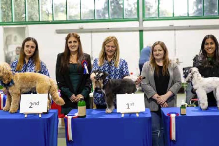 Dog groomers from Bentley's of Petersfield.