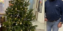 Alton Community Association loves its Christmas tree