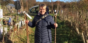 And a purchase of a pear tree: Petersfield group's fruit tree offer