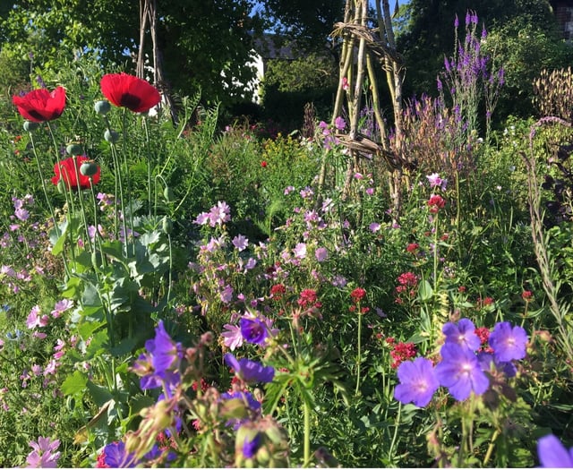 Gilbert White's Garden made RHS 'Partner Garden' in coup for Selborne