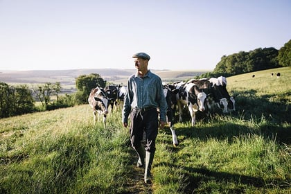 Pair's green vision to make East Meon farm a regenerative UK leader