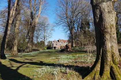 Chawton House hosts second Snowdrop Spectacular on Sunday 