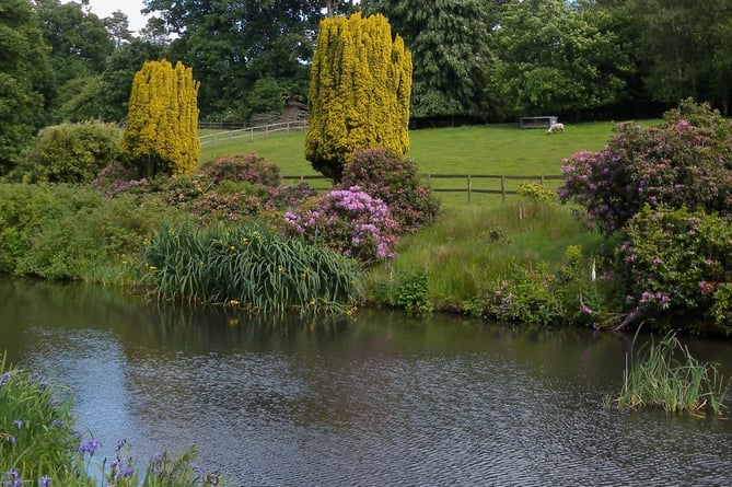 The River Wey runs through the gardens