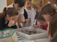 Pupils get an environmental lesson at ACAN conference