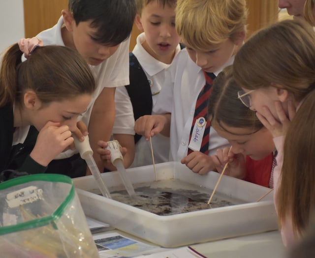 Pupils get an environmental lesson at ACAN conference
