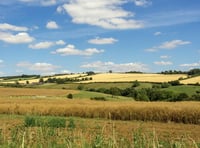 South Downs National Park housing plans raise concerns