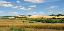 South Downs National Park housing plans raise concerns