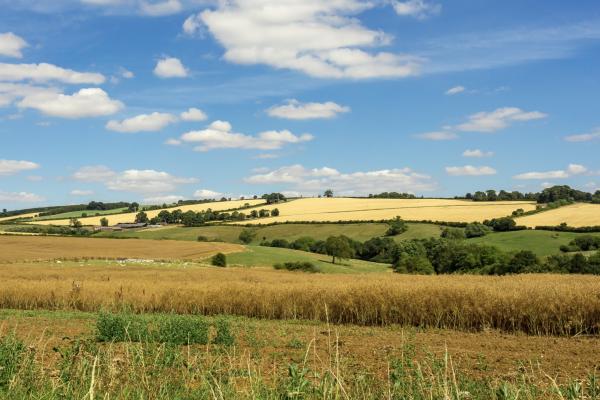 Due to the South Downs National Park covered by planning constraints,  the largest proportion of development in East Hampshire must be built in the smallest part 