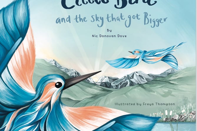 Nic Dove's book Little Bird and the sky that got bigger