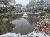 VIDEO: Snow falls in East Hampshire creating a winter wonderland