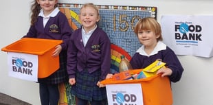 Scouts and schoolkids give helping hand to foodbank