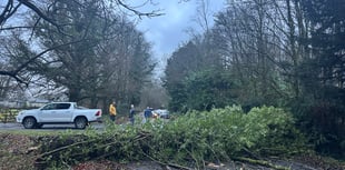 DAY TWO: Live Storm Darragh updates from Herald & Post area 