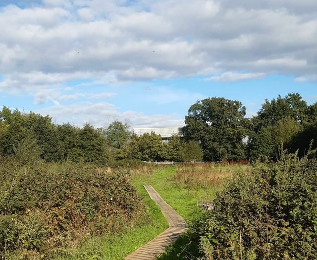 Horndean Green Trail and Heritage Network receives funding boost  