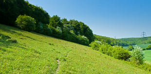 Buriton nature reserve expands thanks to supporters